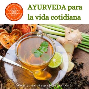 Ayurveda para la Vida Cotidiana