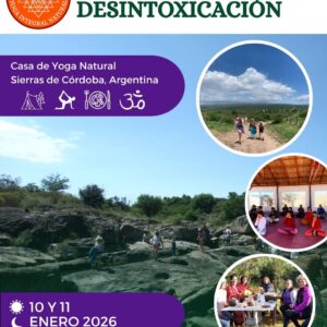 Retiro de Desintoxicación
